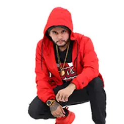 Фото артиста:  Mc Pogba