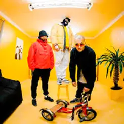 Фото артиста: Грибы