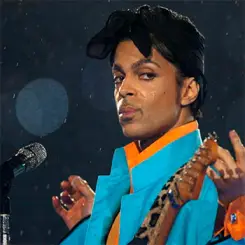 Prince — фото артиста