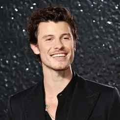 Фото артиста: Shawn Mendes