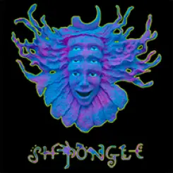Фото артиста: Shpongle