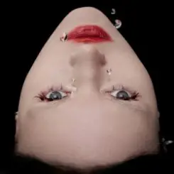 ШЫША - Ален Делон слушать онлайн