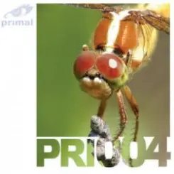 R-Tem - Voiceless (Z05 Mix) слушать онлайн