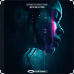 Akille & Juna Rose - Now Or Never слушать онлайн