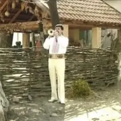 Adam Stîngă - Sirba de pe valea Prutului слушать онлайн