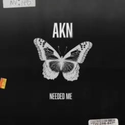 AKN - Needed Me слушать онлайн