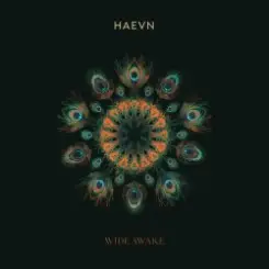 HAEVN & Lily Meola - Till the Morning слушать онлайн