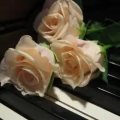 Василь Котович - Я ніколи нікому тебе не віддам слушать онлайн