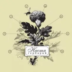 Владимир Шахрин ft. Настя Полева - Всему свое время слушать онлайн