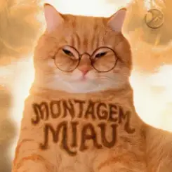 Lenar - Montagem Miau слушать онлайн