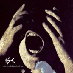 In Strict Confidence - Reversing The Passage Of Time слушать онлайн