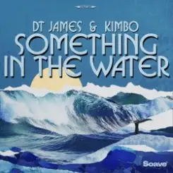 DT James & Kimbo - Something In The Water слушать онлайн