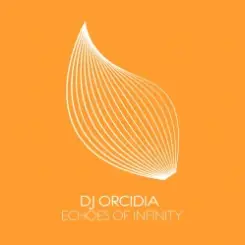 DJ Orcidia - Echoes Of Infinity (Extended Mix) слушать онлайн