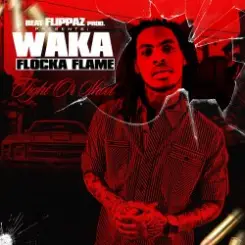 Waka Flocka Flame - Introduction Fight слушать онлайн