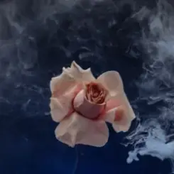 Valeriia Vovk - Сигарети слушать онлайн