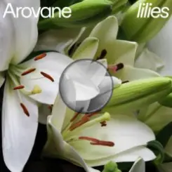 Arovane - Pink Lilies слушать онлайн