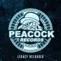 Dr. Peacock & Hyrule War - Imagination (Original Mix) слушать онлайн