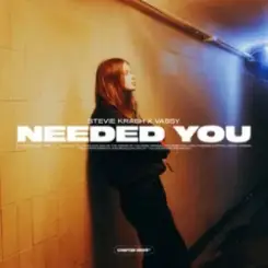 Stevie Krash & VASSY - Needed You слушать онлайн