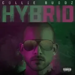 Hybrid - Break My Soul слушать онлайн