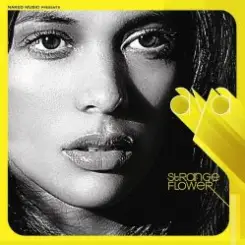 Aya - Do What You Want слушать онлайн