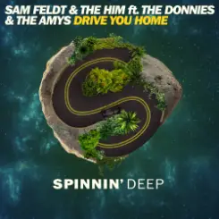 Обложка Sam Feldt & The Him ft. The Donnies The Amys - Drive You Home (Original Mix)