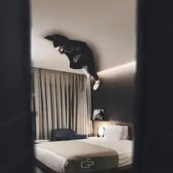 A.V.G - Ты мой сон слушать онлайн