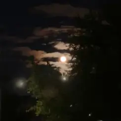 ALEKCION - Ніч кохання слушать онлайн