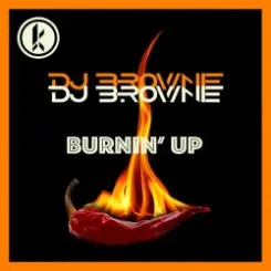 DJ Brownie - Burnin Up слушать онлайн