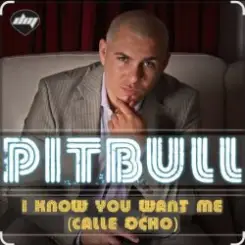 Pitbull - I Know You Want Me слушать онлайн