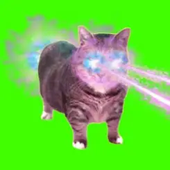 XertXetin - OIIA OIIA COSMIC Spinning CAT слушать онлайн