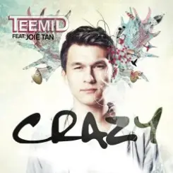 Teemid - Crazy (Club Edit) (Feat. Joie Tan) слушать онлайн