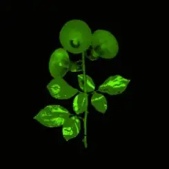 Bacalao - But Not Tonight слушать онлайн