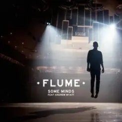 Flume - Some Minds (Feat. Andrew Wyatt) слушать онлайн
