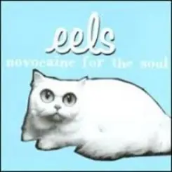 Eels - Novocaine For the Soul слушать онлайн