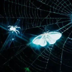 MOTHICA - TOXINS (HEAVY REMIX) слушать онлайн