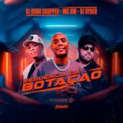 DJ Ryder & Dj Dudu Coupper & Mc Gw - Sequência da Botação (Slowed) слушать онлайн