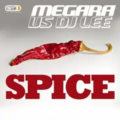 Megara vs. DJ Lee - Spice (Single Edit) слушать онлайн