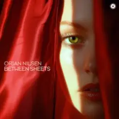 Orjan Nilsen - Between The Rays слушать онлайн