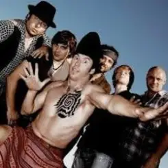 Zdob şi Zdub feat. Трио Эрденко - Видели ночь слушать онлайн