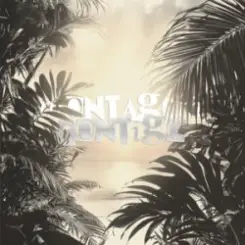 Repsaj - MONTAGEM CONTIGO (Speed Up) слушать онлайн