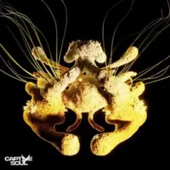 Korolova & Julia Sanina - Higher Calling слушать онлайн