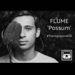 Flume - Possum слушать онлайн