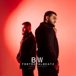 BW & FORTROYALBEATZ - Тень слушать онлайн