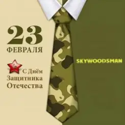 Dr.skywoodsman - 23 февраля слушать онлайн