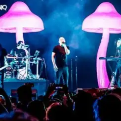 Infected Mushroom - Mixed by G Light live mix from Exotica Gold слушать онлайн