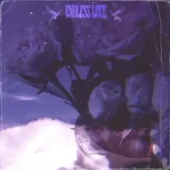 Taz-187 feat. Apxche94 & Wrxckmane - Endless Love слушать онлайн