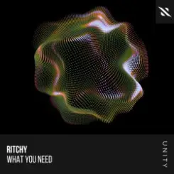 Ritchy - What You Need слушать онлайн