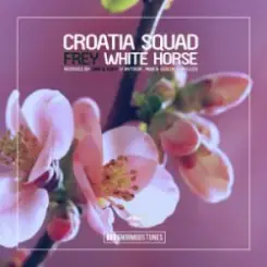 Croatia Squad & Frey - White Horse (Nytron, M0B & Gustavo Peluzo Remix) слушать онлайн