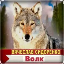 Вячеслав Сидоренко - Волк слушать онлайн