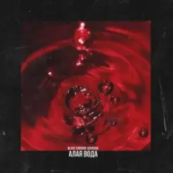 Blvck Cvrnvge - Requiem слушать онлайн